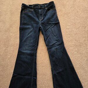 American Eagle Size 12 Super Hi-Rise Flare Denim Jeans